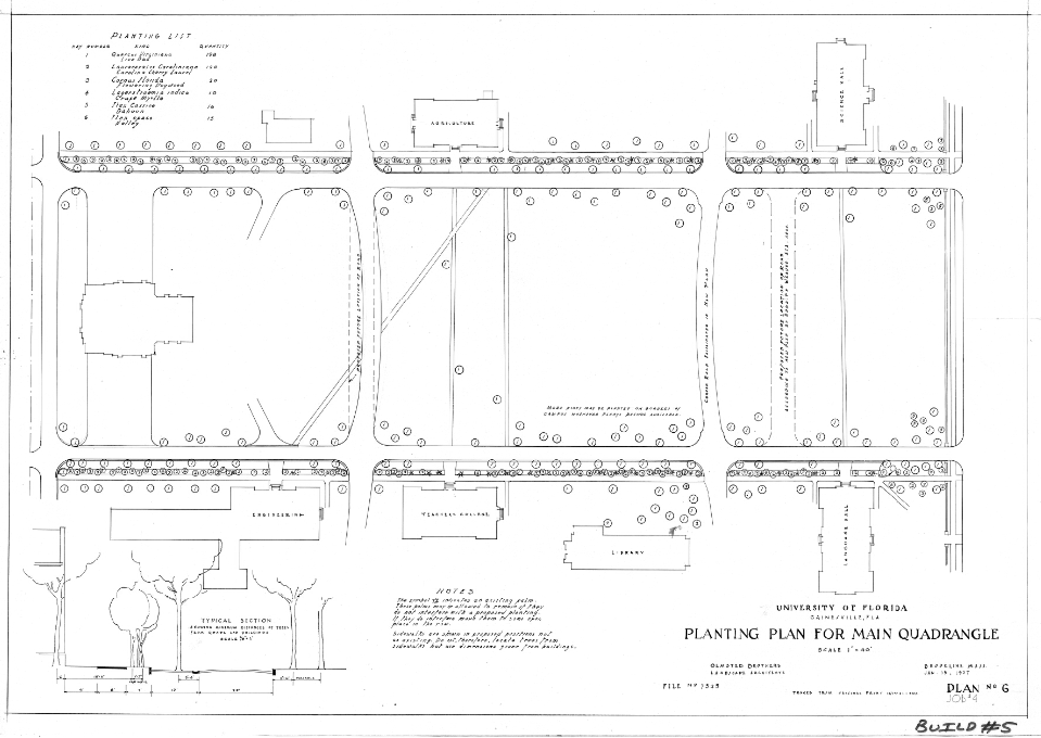 Landscape plans for the University of Florida by the Olmsted Brothers