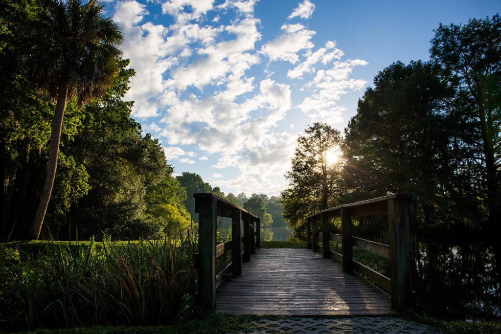 Sunrise over a boardwalk at Lake Alice.