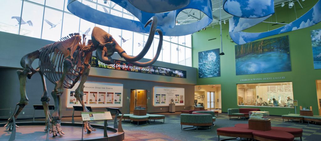 Florida Museum of Natural History.