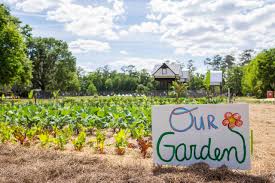 View of the Field and Fork garden with the bathouse in the distance.