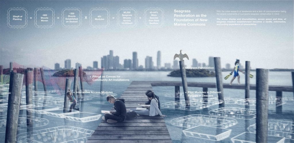 A wooden dock extends over water with two people sitting and drawing. Transparent modules float in the water, with a city skyline in the background and text about seagrass restoration.